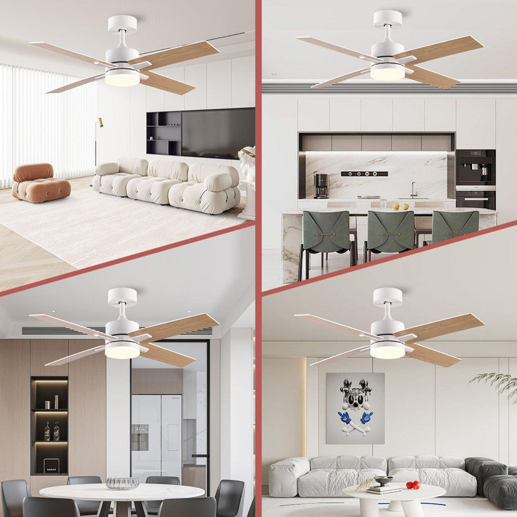 44" white DC Ceiling fan with LED Light - BRIGHT CORNERS