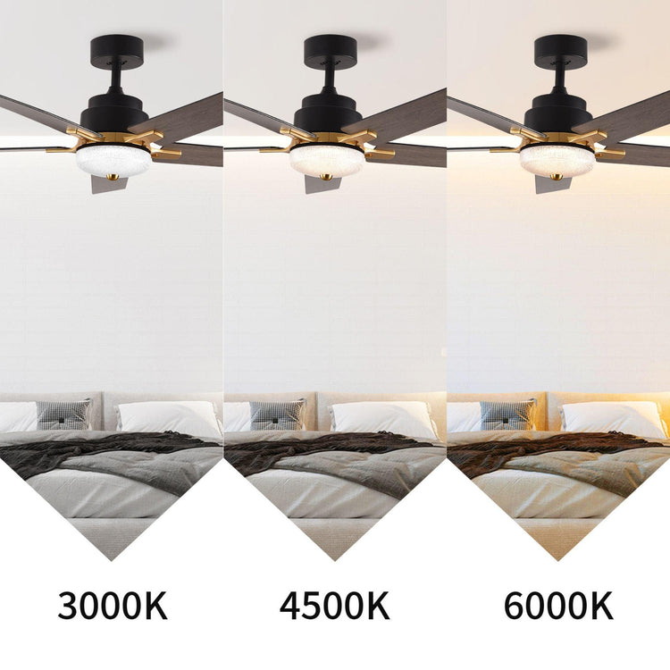 52" Black DC Ceiling fan with LED Light - BRIGHT CORNERS