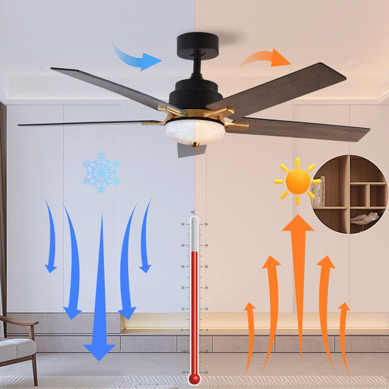 52" Black DC Ceiling fan with LED Light - BRIGHT CORNERS