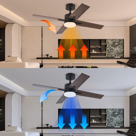 44" Black DC Ceiling fan with LED Light - BRIGHT CORNERS
