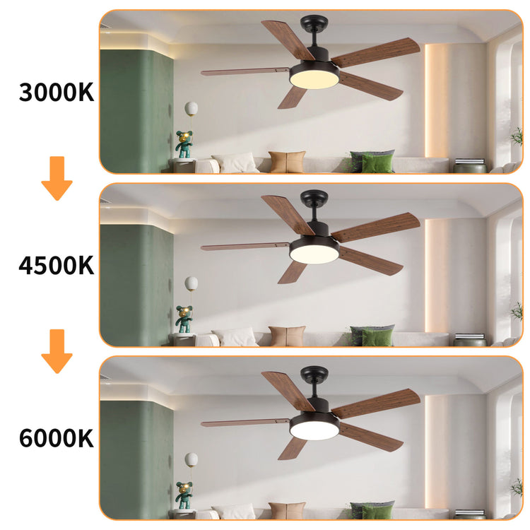 52 '' Brown DC LED Ceiling fan with smart control : CEIL-FAN-Z2005-52