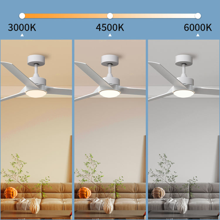 60 '' White DC LED Ceiling fan with smart control : CEIL-FAN-Z2007-WH-60